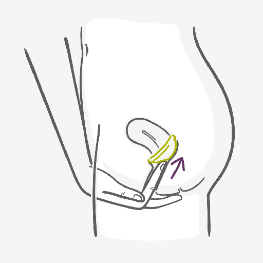 Diaphragm How to use