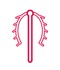 Intrauterine Device - IUD