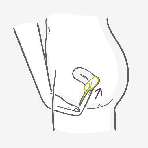 Sponge How to use